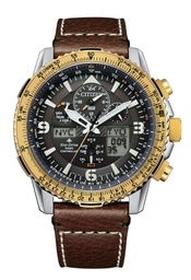 JY8084-17H