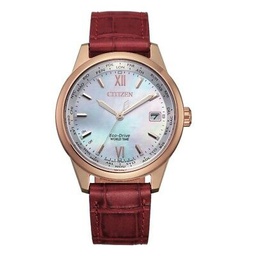 FC8009-18Y